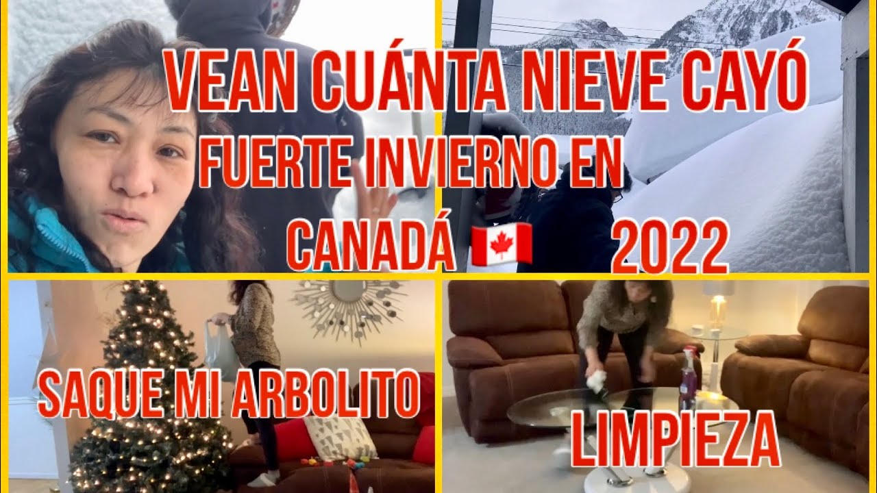 Download TORMENTA DE NIEVE/CANADÁ 🇨🇦INVIERNO 2022/SAQUE MI ÁRBOL/LIMPIEZA