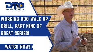 Working Dog Walk Up Drill, Part Nine Of Great Series!