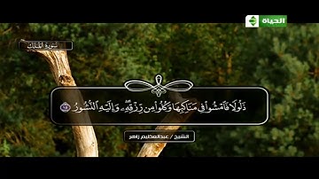 سورة الملك بصوت الشيخ عبد العظيم زاهر