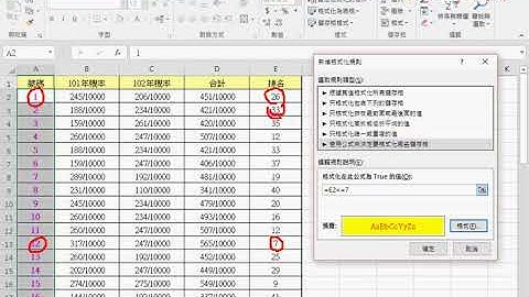 03 格式化前七名資料與VBA程式
