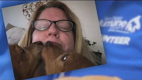 All-star volunteer dog walker is a animal shelter'...
