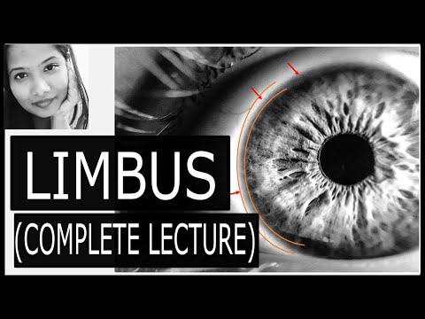 Video: Waar is de limbus van het oog?