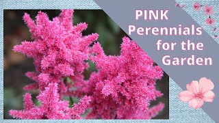 PINK FLOWERS for Your Garden ~ Do You Love the Color Pink? 🌷🌸