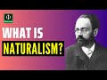 What is Naturalism? (See link below for a video lecture on "Naturalism in Education")