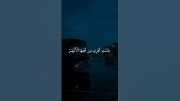 أكتب شيء تؤجر عليه ❤️ |تلاوة مؤثرة جدًا بصوت الشيخ ياسر الدوسري 🎧 |#Quran