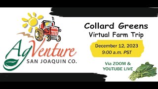 virtual farm tour uk