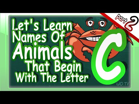 animals-names-in-english-that-begin-with-the-letter-c-–-part-2-|-learn-animals-names-with-pictures