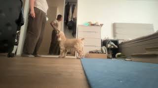 Haiping Huang, Lesson 4, Exercise 3 Shape a New Trick - Back Up