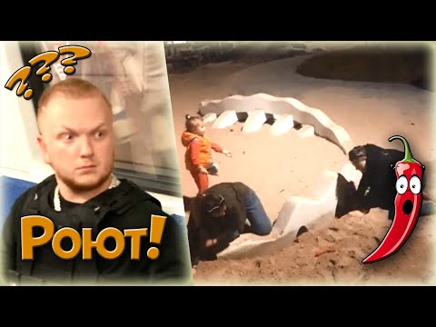 Лучшие приколы 2019 (новые приколы, лютые приколы, самые смешные видео приколы) | Best COUB BAR #38