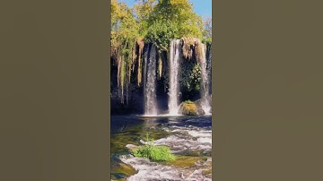 Nature Exploration | Amazing Waterfall | Amazon Jungle