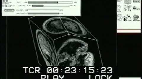 1989 TAAC-1 programmable graphics processor demo - Part 2