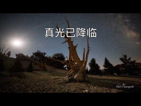 真光降临Come,True Light－（上海葡萄园 Shanghai Vineyard）