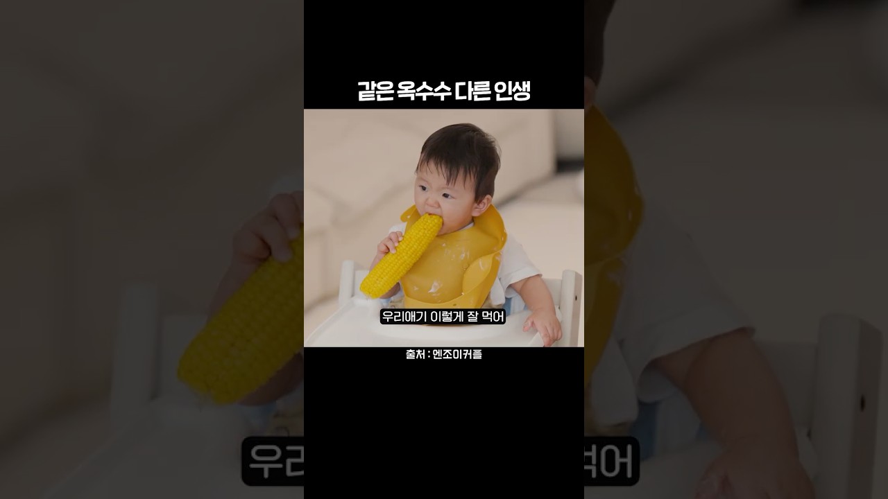 옥수수 인생 2회차의 비밀🌽