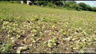 Audio Potrero Norte afectado por condiciones climática