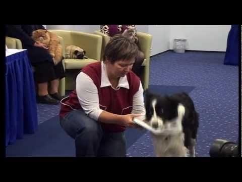 Международная выставка PetExpo-2013 на Кипсале