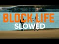 VOYAGE X MERO - BLOCK LIFE - SLOWED DOWN