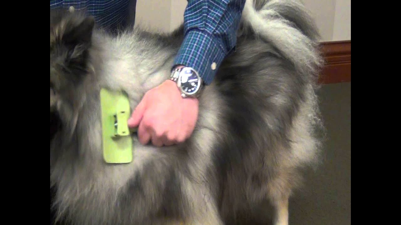 Safari® Self-Cleaning Slicker Brush