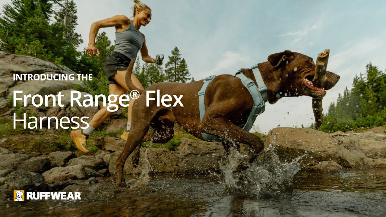 Front Range® Flex Harness | Ruffwear UK