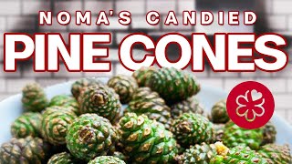 Noma Style Candied Baby Pine Cones - Three Michelin Star Recipe