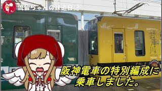 阪神電車の特別編成に乗車しました。（流留ちゃんの鉄道日記9）