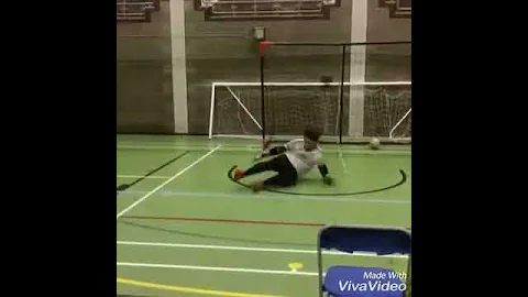 Reza soltani goalkeeper coach