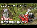 『耕作放棄地対策』ハンマーナイフモアHRC664で草刈り！