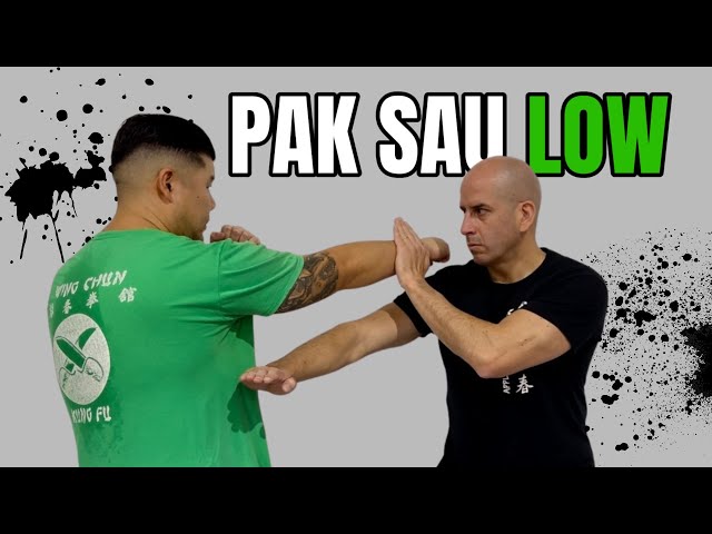 Wing Chun - Pak Sau Low | Don't go Head Hunting class=