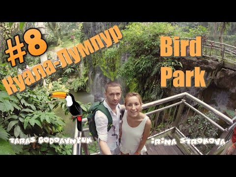 #8 Malaysia, Kuala Lumpur, Bird Park | Малайзия, Куала Лумпур, Парк птиц