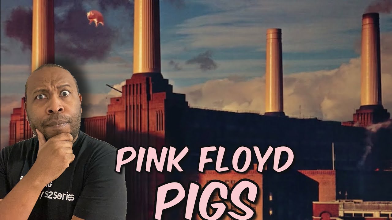 First Time Hearing | Pink Floyd - Pigs Reaction