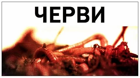 Галилео. Черви
