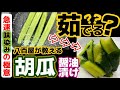 胡瓜を茹でる？【急速★味染み醤油漬け】八百屋が教える漬物レシピ‼きゅうりの食感があがり薄まらない漬けダレがクセになります！浅漬け・サラダ感覚で‼下処理・下ごしらえ・作り方・食べ方アレンジ・一番人気