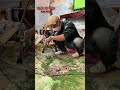 Quá trình hoá trang ma cây