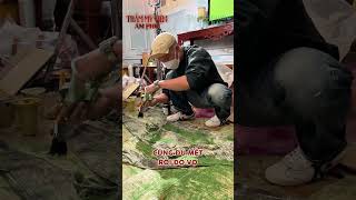Quá trình hoá trang ma cây