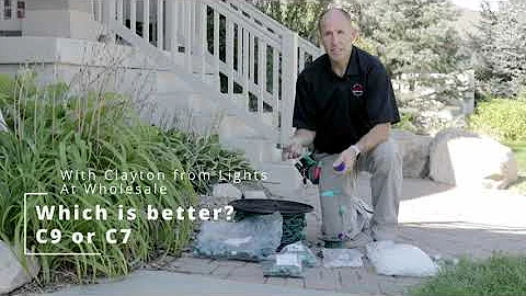 C7 vs. C9: What Size Christmas Light Bulbs Should You Use?