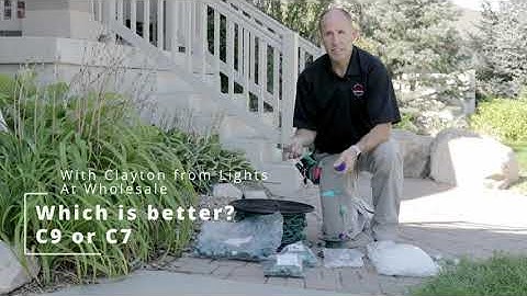 C7 vs. C9: What Size Christmas Light Bulbs Should You Use?