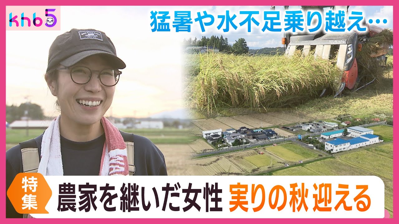 父親から後を継いだ女性米農家　猛暑や水不足そして価格高騰の中で迎えた稲刈り　宮城・栗原市