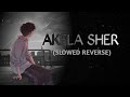AKELA SHER 🔥 | Hindi Attitude Song | (SLOWED REVERSE) | #slowedandreverb #song #video