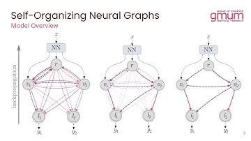 SONGs: Self-Organizing Neural Graphs