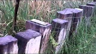 Torre Guaceto - Traverse Ferroviarie Dismesse