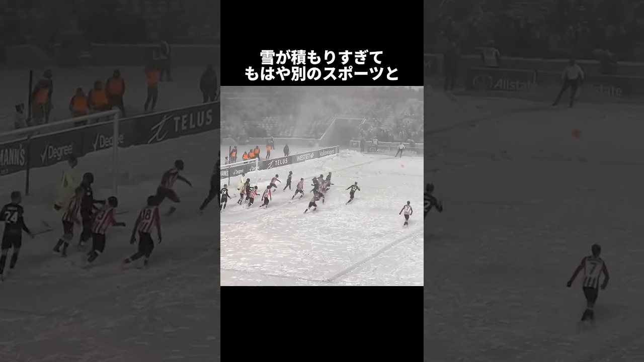 大雪ではしゃぐサッカー選手集 #サッカー #ショート #ワールドカップ