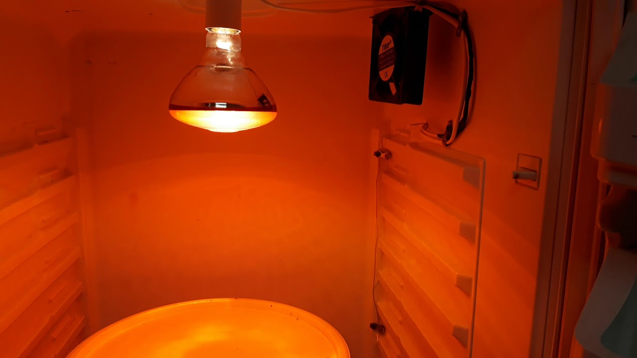 Decristalizator de miere13.01.2020