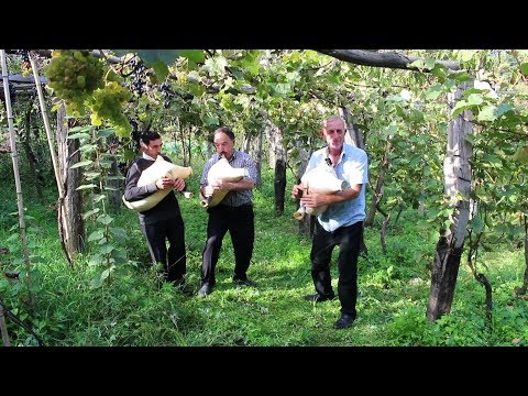 ეთნოფორი • etnopori (გადაცემა ასოთხმოცდამეათე) 17.10.2019წ.