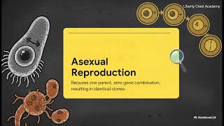 Grade 8 Core Knowledge Science 5C Sexual and Asexual Reproduction Genetic Trade Off