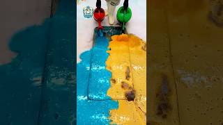 Rug’s Oddly Satisfying Deep Clean Journey Captured in ASMR #asmr