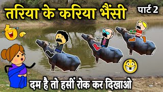 तरिया पार के करिया भैंसी 🤪 गर्मी  के हुडदंग पार्ट 2 😜  cg comedy cartoon video by moolchand cartoon