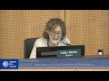 Seattle City Council 4/8/2025