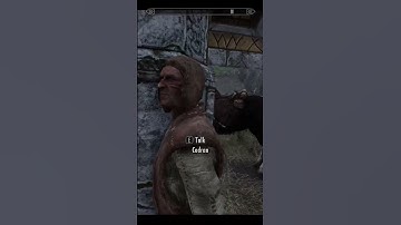 Killing Random NPCs In Skyrim Until The Elder Scrolls 6 (Week 46)