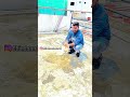 🎯 🔴 “Terrace Leaking? 💦 Acrylic Coating to the Rescue! 🛡️🔥 #TerraceTransformation”