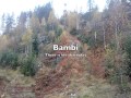 Bambi There Is Life Karaoke
