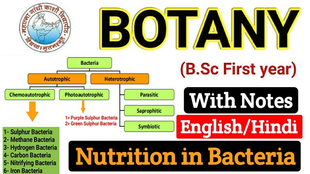 Nutrition in Bacteria // Nutritional requirements of Bacteria // BSC